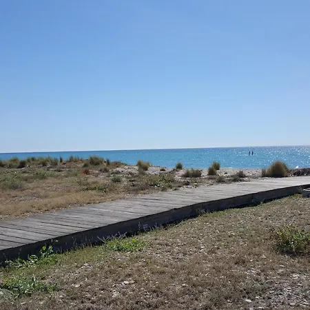En Playa De Con Vistas A La Marjal